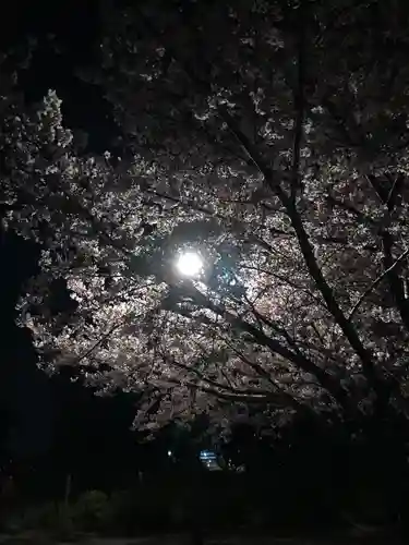 池上本門寺(東京都)