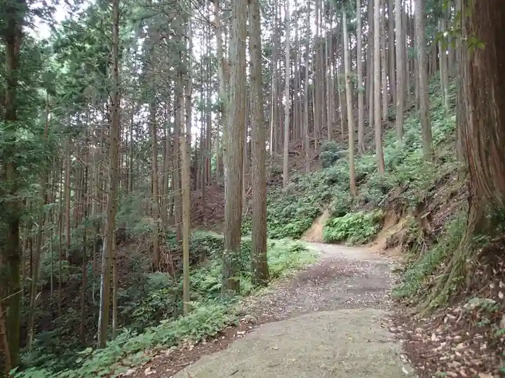 天乃石立神社の自然