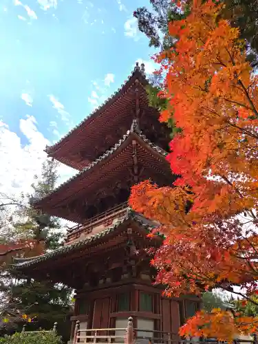 太山寺(兵庫県)