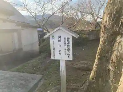 船盡比賣神社(徳島県)