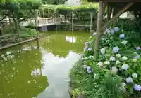 亀戸天神社の庭園