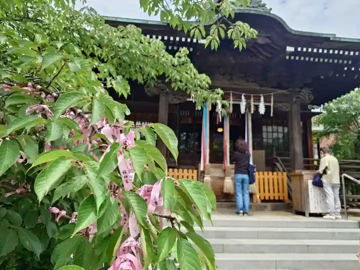 桜神宮(東京都)