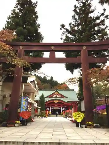 宮城縣護國神社の鳥居