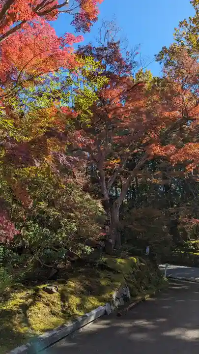 赤山禅院(京都府)