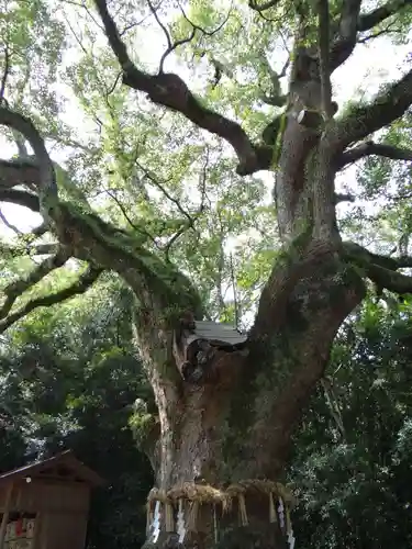 熱田神宮(愛知県)