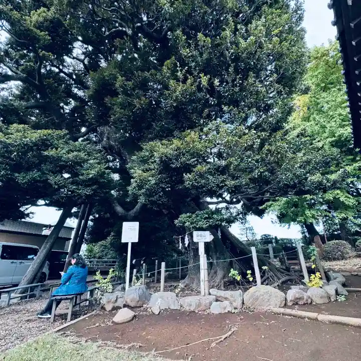 九重神社(埼玉県)