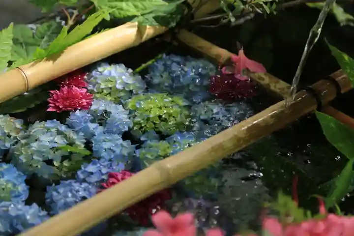 札幌護國神社の手水舎