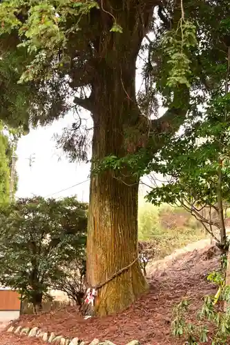 祖母嶽神社(宮崎県)