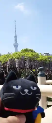 亀戸天神社(東京都)