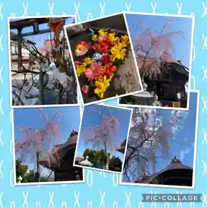 大鏑神社の自然(2021年04月03日(土) 15時13分51秒投稿)
