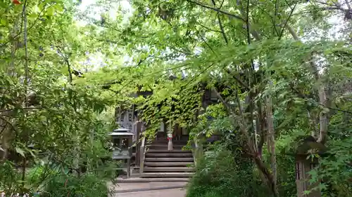 浄瑠璃寺(愛媛県)