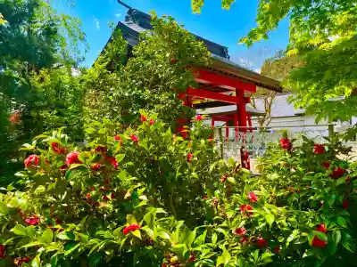 薬萊神社(里宮）の{uncategorized: "未分類", other: "その他", undefined: "問題あり", building: "その他建物", grave: "お墓", sacred_gate: "鳥居", guardian: "狛犬", statue: "像", buddha: "仏像", history: "歴史", nature: "自然", garden: "庭園", animal: "動物", pagoda: "塔", temizu: "手水舎", mountain_gate: "山門・神門", sanctuary: "本殿・本堂", subordinate: "末社・摂社", art: "芸術", scenery: "景色", jizo: "地蔵", ema: "絵馬", goshuin: "御朱印", omikuji: "おみくじ", items: "授与品その他", amulet: "お守り", goshuincho: "御朱印帳", eats: "食事", festival: "お祭り", votive_dance: "神楽", shichigosan: "七五三参", wedding: "結婚式", experience: "体験その他", initially: "初詣", around: "周辺", anti_infection: "感染症対策"}