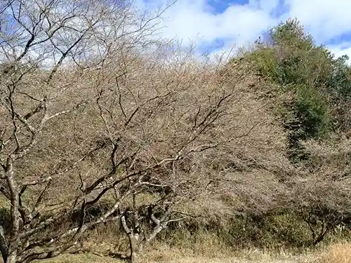 祝峰寺(愛知県)