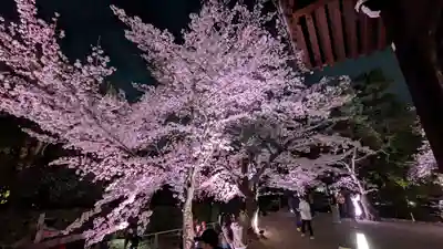 知恩院(京都府)