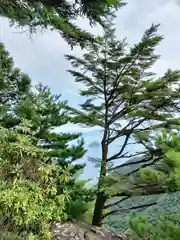 御山神社(厳島神社奧宮)(広島県)