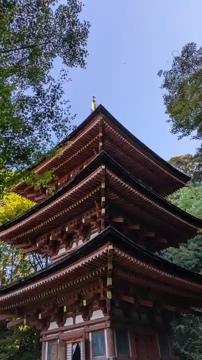浄瑠璃寺(京都府)