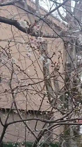 熊野神社の自然