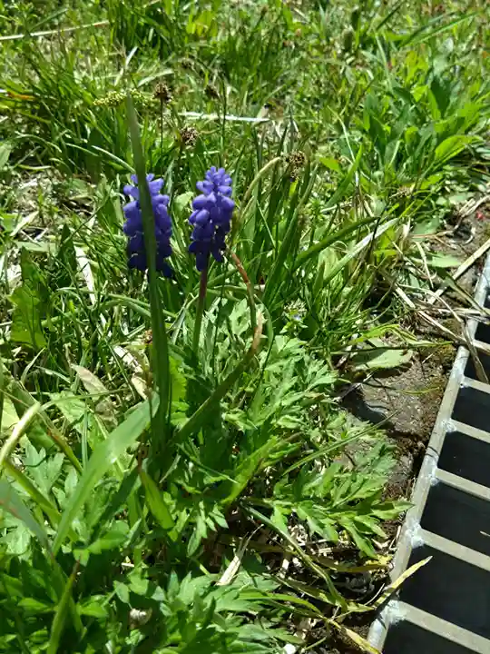 国造神社(熊本県)