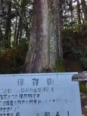 大善寺の自然