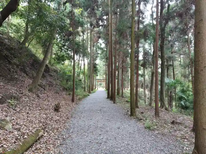 出雲大神宮の{uncategorized: "未分類", other: "その他", undefined: "問題あり", building: "その他建物", grave: "お墓", sacred_gate: "鳥居", guardian: "狛犬", statue: "像", buddha: "仏像", history: "歴史", nature: "自然", garden: "庭園", animal: "動物", pagoda: "塔", temizu: "手水舎", mountain_gate: "山門・神門", sanctuary: "本殿・本堂", subordinate: "末社・摂社", art: "芸術", scenery: "景色", jizo: "地蔵", ema: "絵馬", goshuin: "御朱印", omikuji: "おみくじ", items: "授与品その他", amulet: "お守り", goshuincho: "御朱印帳", eats: "食事", festival: "お祭り", votive_dance: "神楽", shichigosan: "七五三参", wedding: "結婚式", experience: "体験その他", initially: "初詣", around: "周辺", anti_infection: "感染症対策"}
