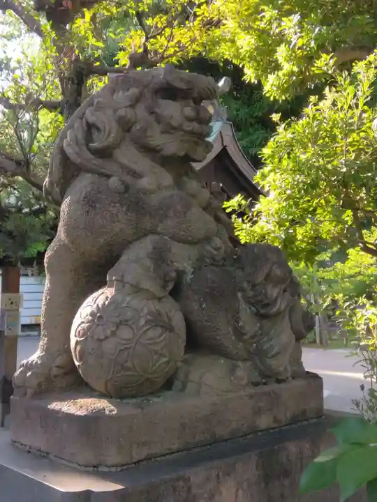 鳩森八幡神社の狛犬