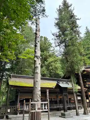 諏訪大社下社春宮(長野県)