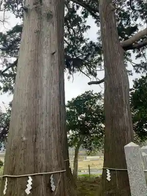佐味神社の自然