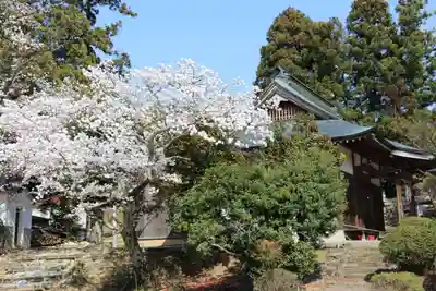 見渡神社の本殿・本堂