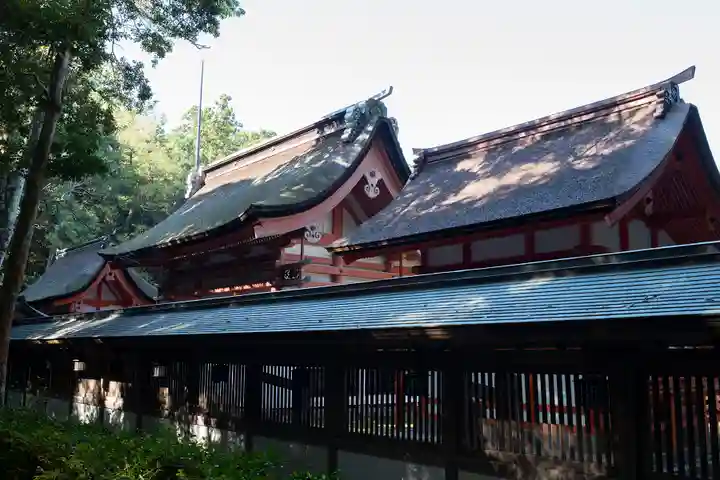 大山祇神社の本殿・本堂