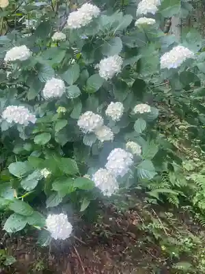 横峰寺(愛媛県)