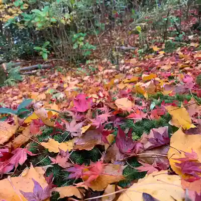 厭離庵(京都府)
