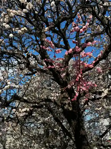 北野神社の{uncategorized: "未分類", other: "その他", undefined: "問題あり", building: "その他建物", grave: "お墓", sacred_gate: "鳥居", guardian: "狛犬", statue: "像", buddha: "仏像", history: "歴史", nature: "自然", garden: "庭園", animal: "動物", pagoda: "塔", temizu: "手水舎", mountain_gate: "山門・神門", sanctuary: "本殿・本堂", subordinate: "末社・摂社", art: "芸術", scenery: "景色", jizo: "地蔵", ema: "絵馬", goshuin: "御朱印", omikuji: "おみくじ", items: "授与品その他", amulet: "お守り", goshuincho: "御朱印帳", eats: "食事", festival: "お祭り", votive_dance: "神楽", shichigosan: "七五三参", wedding: "結婚式", experience: "体験その他", initially: "初詣", around: "周辺", anti_infection: "感染症対策"}