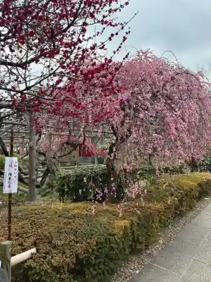 亀戸天神社の{uncategorized: "未分類", other: "その他", undefined: "問題あり", building: "その他建物", grave: "お墓", sacred_gate: "鳥居", guardian: "狛犬", statue: "像", buddha: "仏像", history: "歴史", nature: "自然", garden: "庭園", animal: "動物", pagoda: "塔", temizu: "手水舎", mountain_gate: "山門・神門", sanctuary: "本殿・本堂", subordinate: "末社・摂社", art: "芸術", scenery: "景色", jizo: "地蔵", ema: "絵馬", goshuin: "御朱印", omikuji: "おみくじ", items: "授与品その他", amulet: "お守り", goshuincho: "御朱印帳", eats: "食事", festival: "お祭り", votive_dance: "神楽", shichigosan: "七五三参", wedding: "結婚式", experience: "体験その他", initially: "初詣", around: "周辺", anti_infection: "感染症対策"}