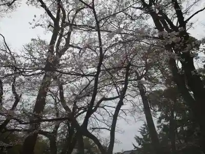 大井神社(静岡県)