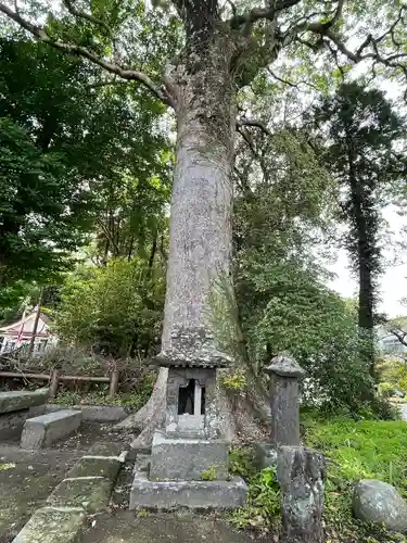 鵜戸神社の自然