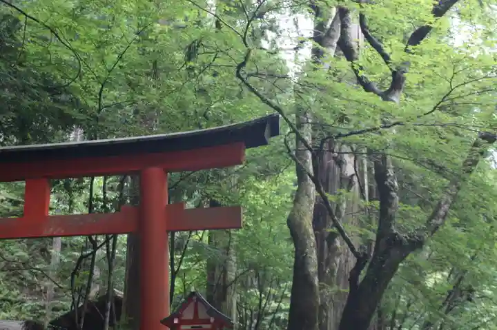 貴船神社(京都府)