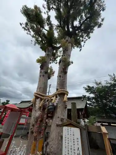 天之御中主神社の{uncategorized: "未分類", other: "その他", undefined: "問題あり", building: "その他建物", grave: "お墓", sacred_gate: "鳥居", guardian: "狛犬", statue: "像", buddha: "仏像", history: "歴史", nature: "自然", garden: "庭園", animal: "動物", pagoda: "塔", temizu: "手水舎", mountain_gate: "山門・神門", sanctuary: "本殿・本堂", subordinate: "末社・摂社", art: "芸術", scenery: "景色", jizo: "地蔵", ema: "絵馬", goshuin: "御朱印", omikuji: "おみくじ", items: "授与品その他", amulet: "お守り", goshuincho: "御朱印帳", eats: "食事", festival: "お祭り", votive_dance: "神楽", shichigosan: "七五三参", wedding: "結婚式", experience: "体験その他", initially: "初詣", around: "周辺", anti_infection: "感染症対策"}