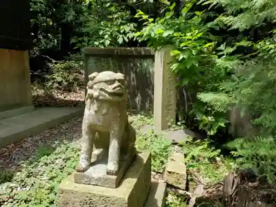 中津住吉神社の狛犬