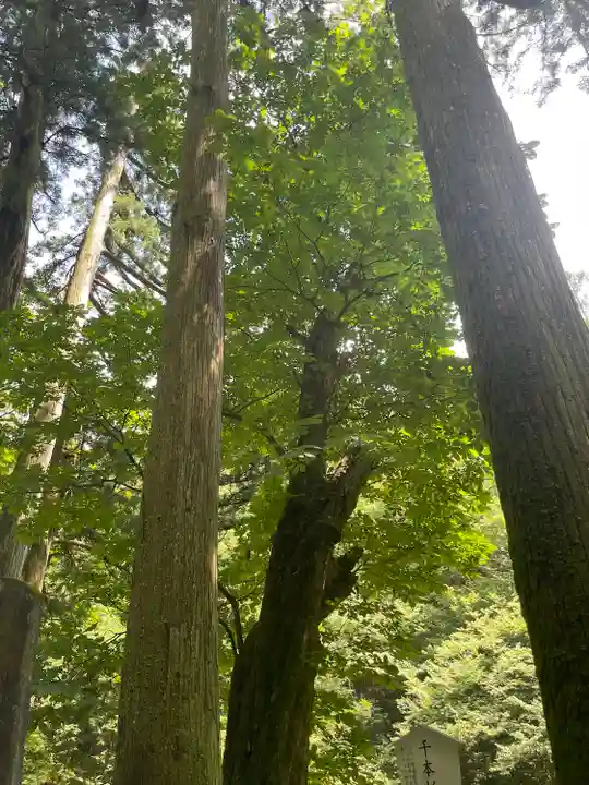 榛名神社(群馬県)