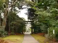 成田熊野神社の{uncategorized: "未分類", other: "その他", undefined: "問題あり", building: "その他建物", grave: "お墓", sacred_gate: "鳥居", guardian: "狛犬", statue: "像", buddha: "仏像", history: "歴史", nature: "自然", garden: "庭園", animal: "動物", pagoda: "塔", temizu: "手水舎", mountain_gate: "山門・神門", sanctuary: "本殿・本堂", subordinate: "末社・摂社", art: "芸術", scenery: "景色", jizo: "地蔵", ema: "絵馬", goshuin: "御朱印", omikuji: "おみくじ", items: "授与品その他", amulet: "お守り", goshuincho: "御朱印帳", eats: "食事", festival: "お祭り", votive_dance: "神楽", shichigosan: "七五三参", wedding: "結婚式", experience: "体験その他", initially: "初詣", around: "周辺", anti_infection: "感染症対策"}