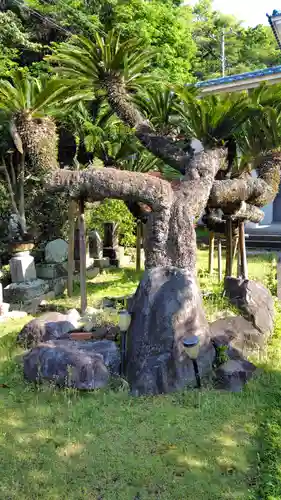 珠還寺(静岡県)