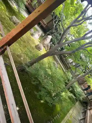 建仁寺（建仁禅寺）の{uncategorized: "未分類", other: "その他", undefined: "問題あり", building: "その他建物", grave: "お墓", sacred_gate: "鳥居", guardian: "狛犬", statue: "像", buddha: "仏像", history: "歴史", nature: "自然", garden: "庭園", animal: "動物", pagoda: "塔", temizu: "手水舎", mountain_gate: "山門・神門", sanctuary: "本殿・本堂", subordinate: "末社・摂社", art: "芸術", scenery: "景色", jizo: "地蔵", ema: "絵馬", goshuin: "御朱印", omikuji: "おみくじ", items: "授与品その他", amulet: "お守り", goshuincho: "御朱印帳", eats: "食事", festival: "お祭り", votive_dance: "神楽", shichigosan: "七五三参", wedding: "結婚式", experience: "体験その他", initially: "初詣", around: "周辺", anti_infection: "感染症対策"}