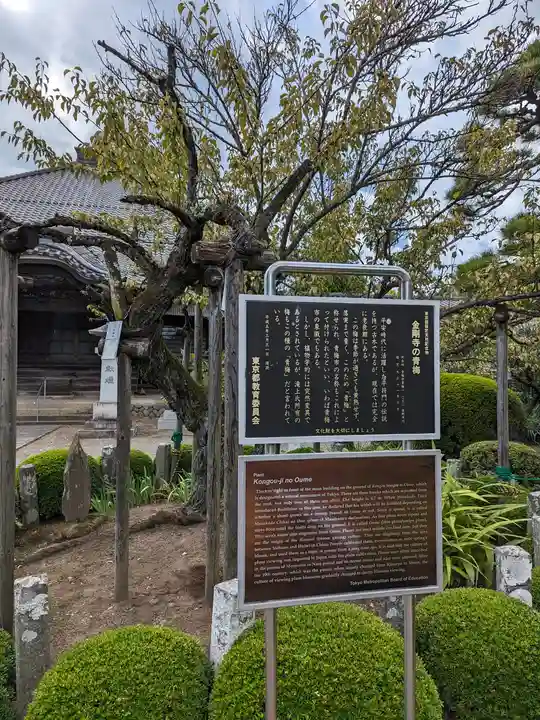 金剛寺(東京都)