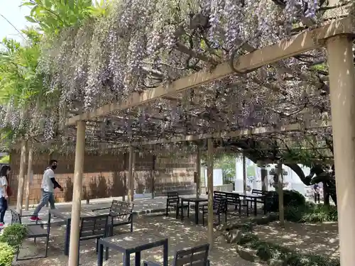 金蛇水神社の庭園