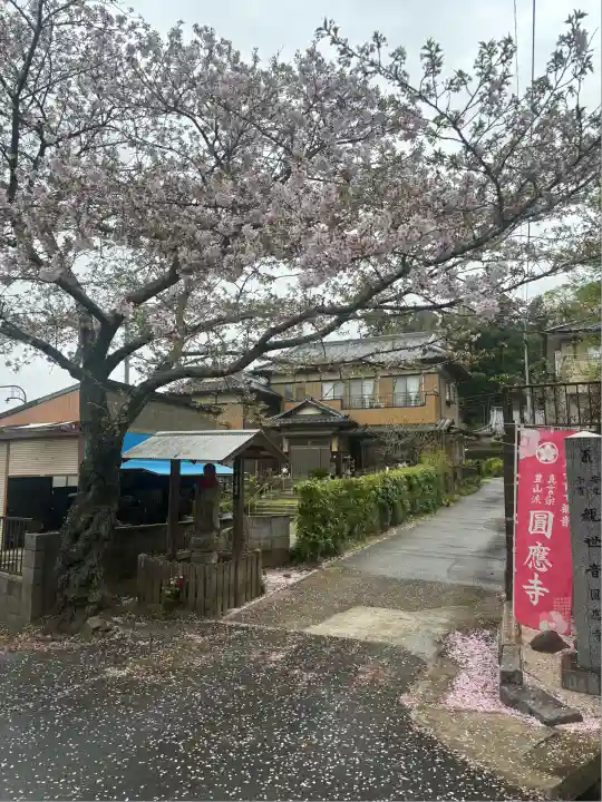 成田観音 円応寺(千葉県)