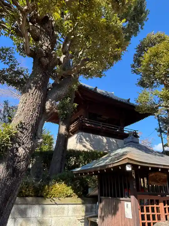 護国寺(東京都)