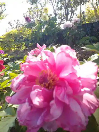 隆国寺(兵庫県)