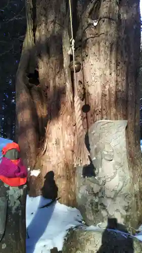 早池峰神社の自然