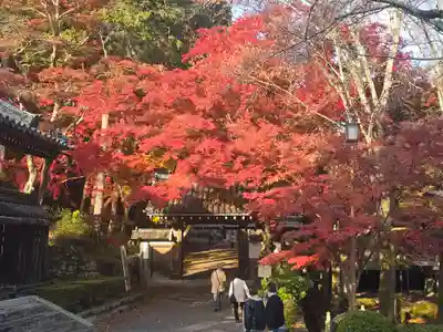 西教寺(滋賀県)