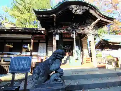 妙法寺(東京都)